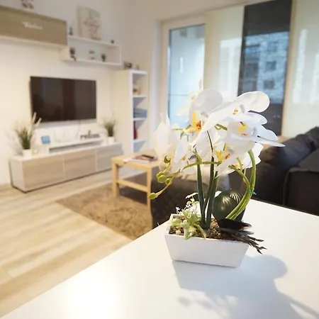 Relaxing Coresi شقة براشوف