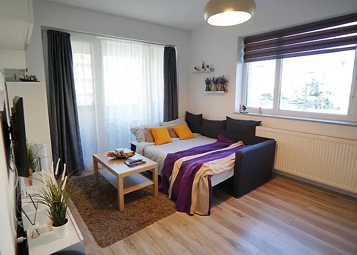 Apartment Relaxing Coresi Brasov